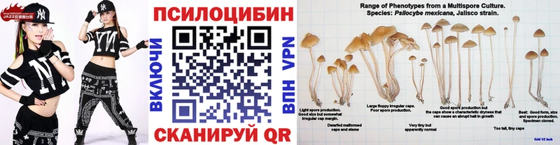 Галлюциногенные грибы Psilocybine cubensis  где купить   Новочебоксарск 